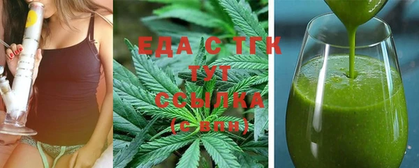 индика Богданович