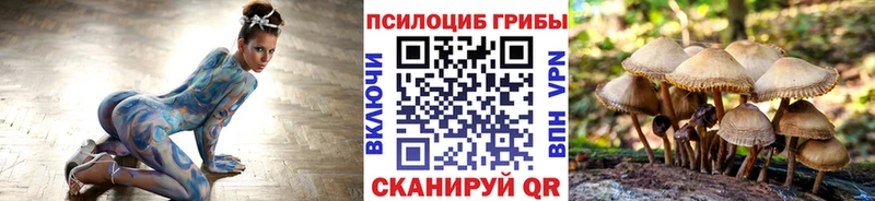 Псилоцибиновые грибы мухоморы  Яхрома 